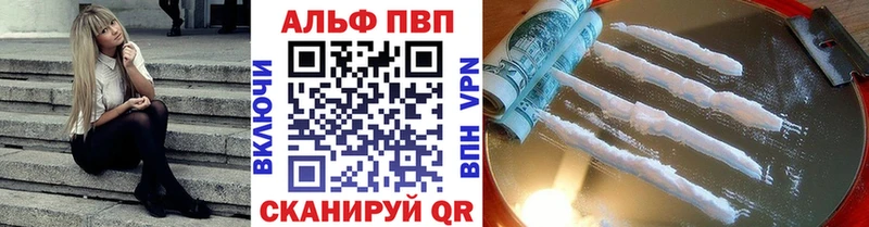 Alfa_PVP СК КРИС  Воронеж 
