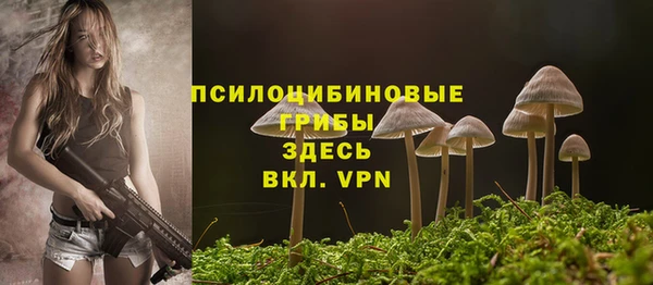 молекула духа Каменногорск